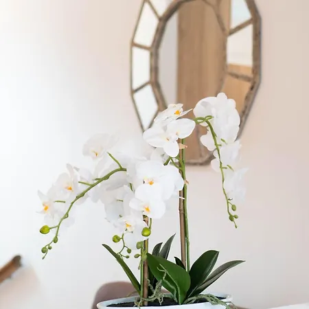 Leonel By Locap Group Apartamento *