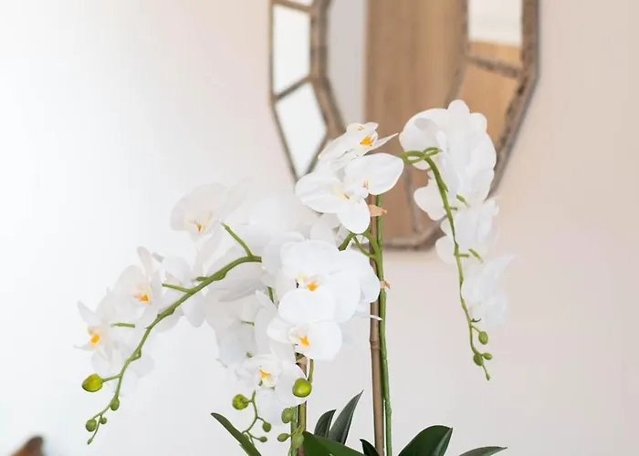 Leonel By Locap Group דירה *